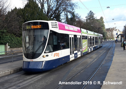 Tram Gen&egrave;ve